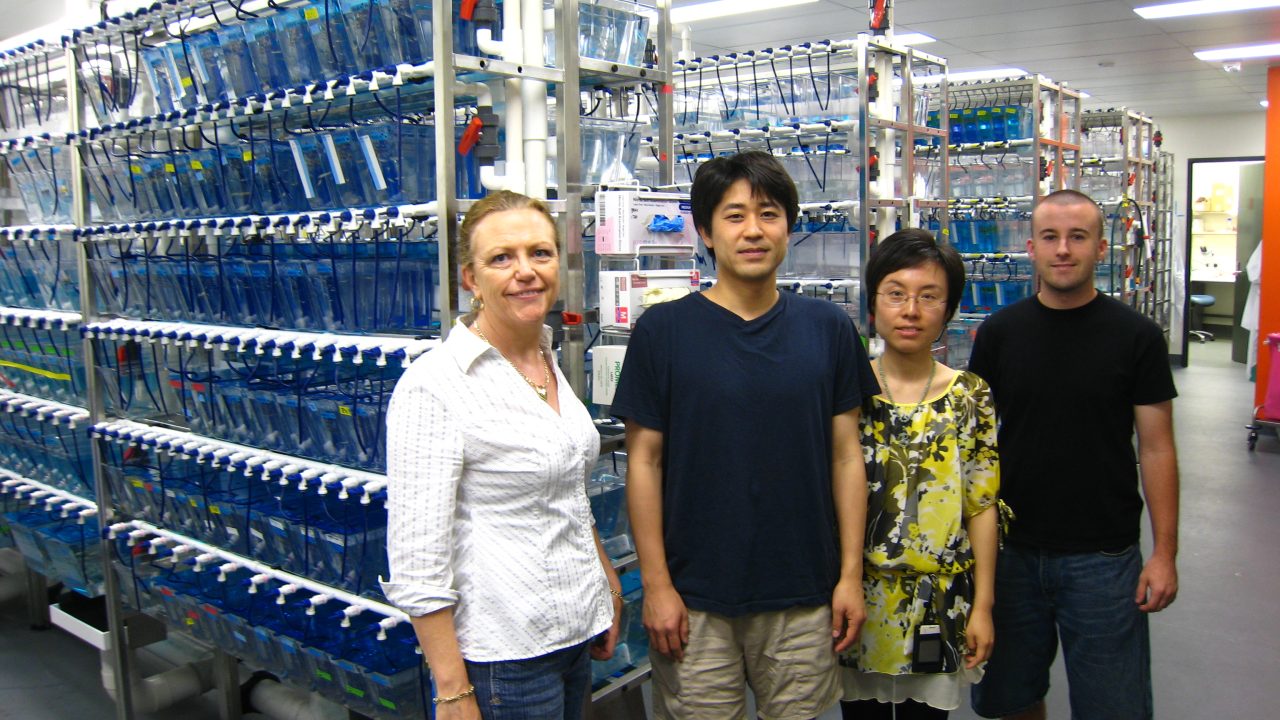 VCCRI zebrafish breeding facility